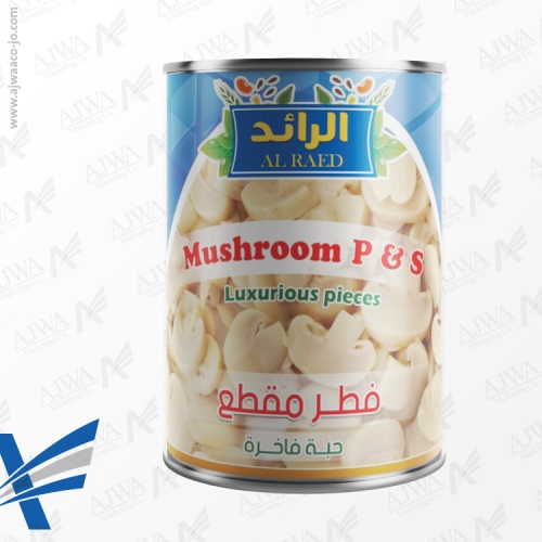 alraed-mushroom-380