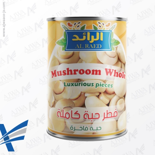 alraed-mushroom-whole-380